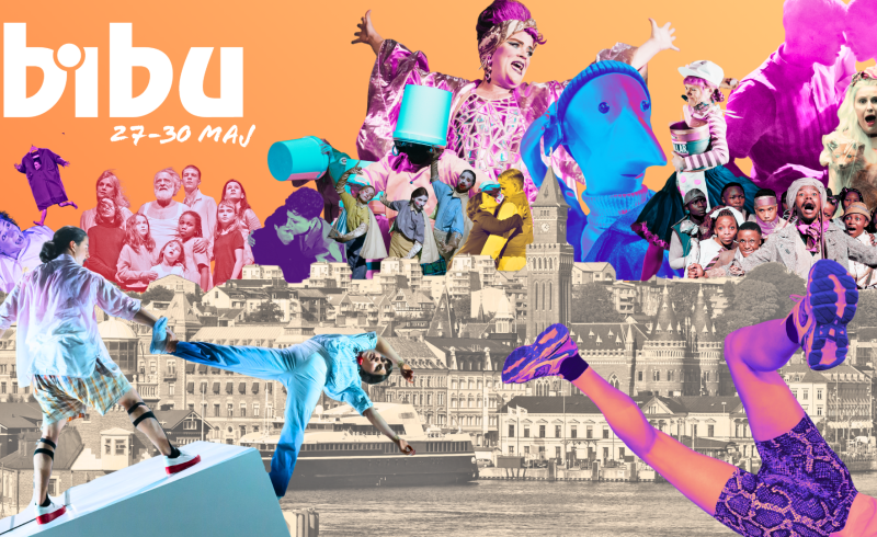 Mix of small photos from all the performances