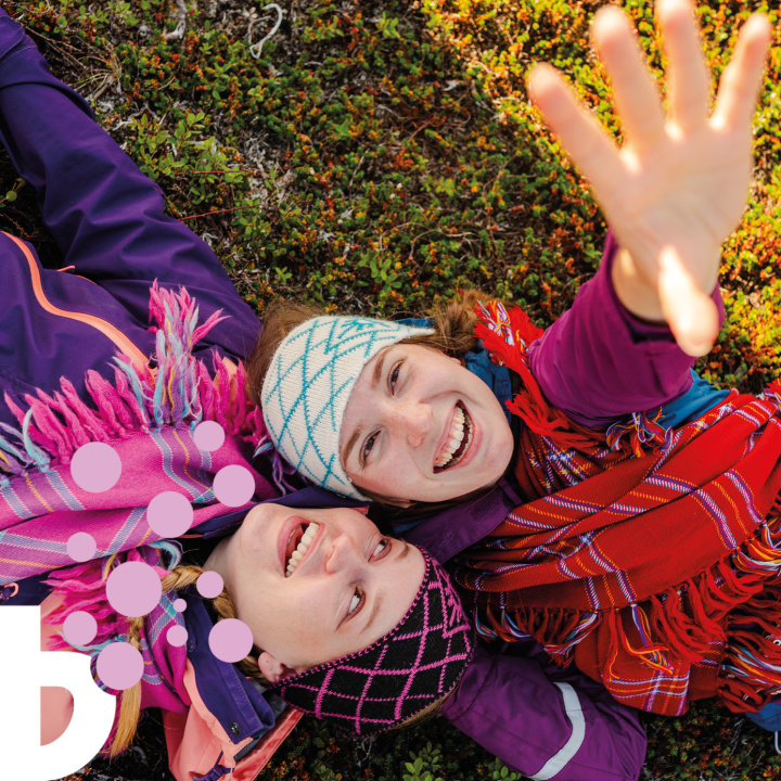 Myggen & Bjørnen teaser bild