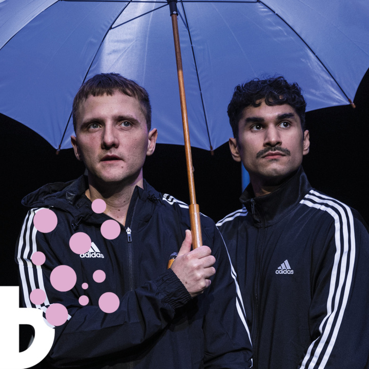 Som bröder teaser image